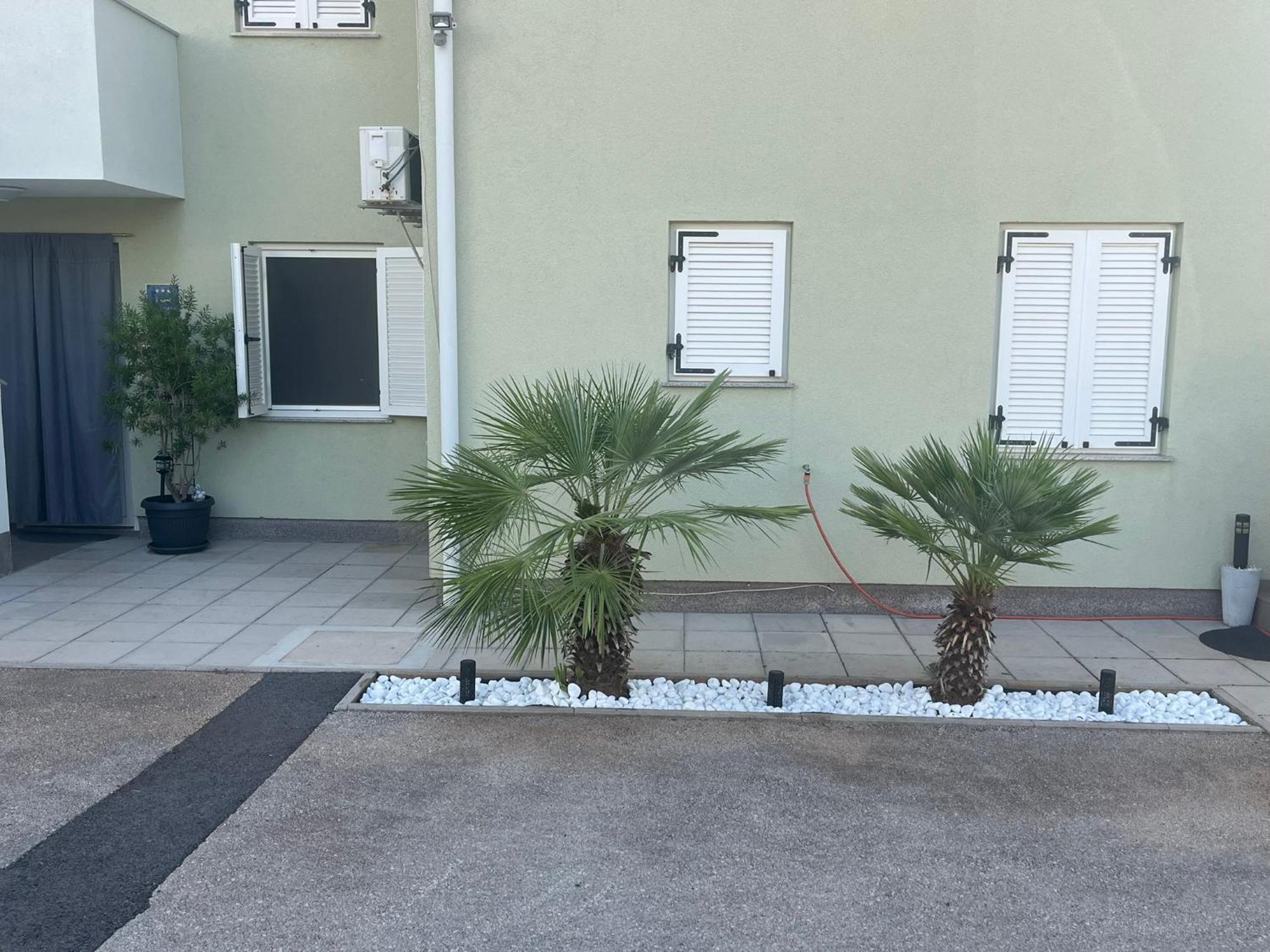 Apartment - Ivo Cizici Ngoại thất bức ảnh