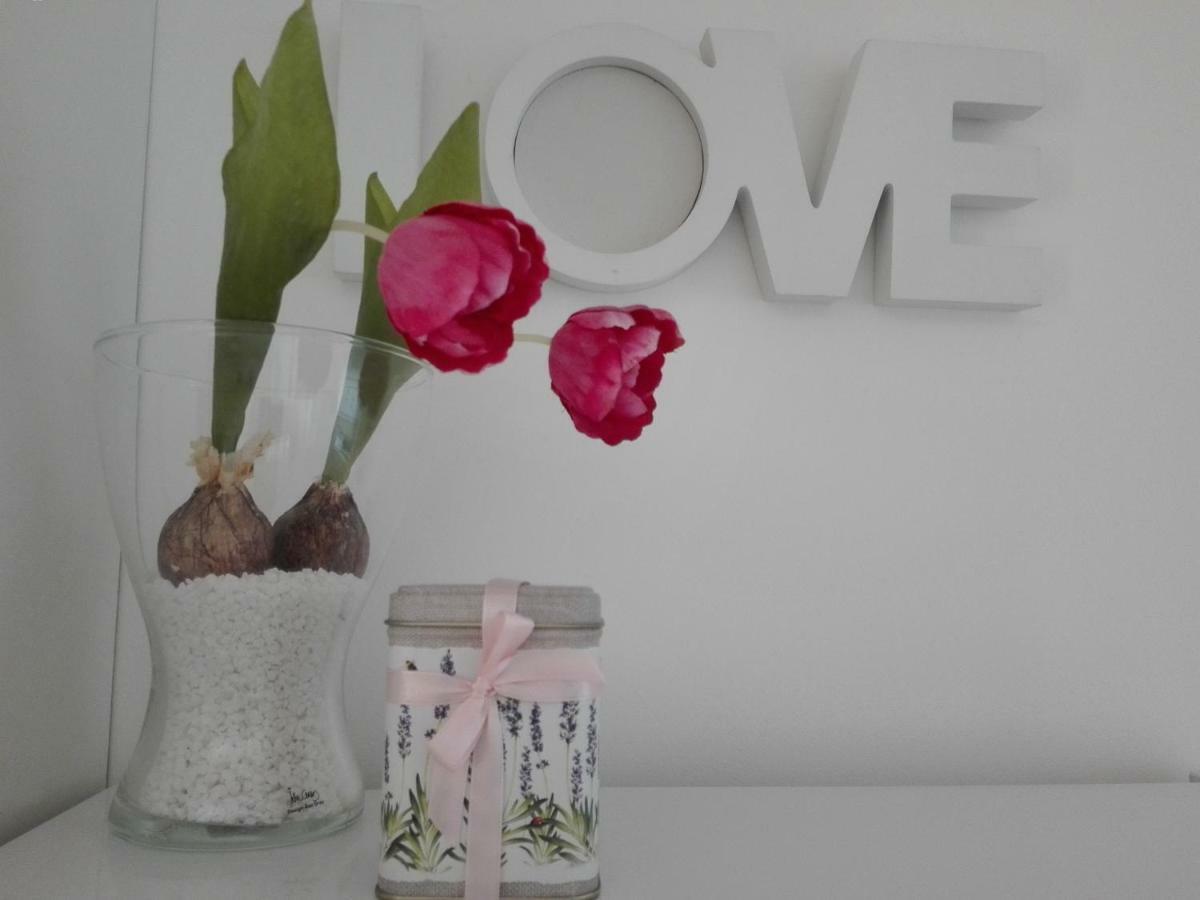 Apartment - Ivo Cizici Ngoại thất bức ảnh